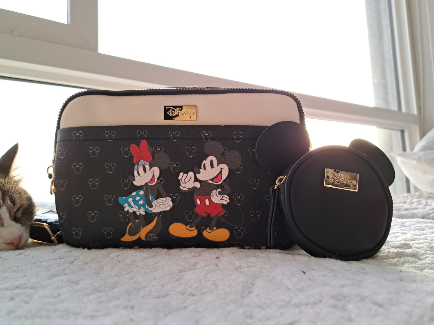 🌸Crossbody mickey🌸